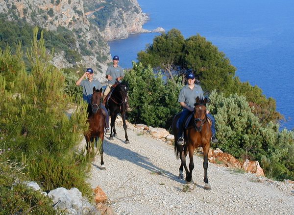 Blue Trail � Horseback Riding Tour